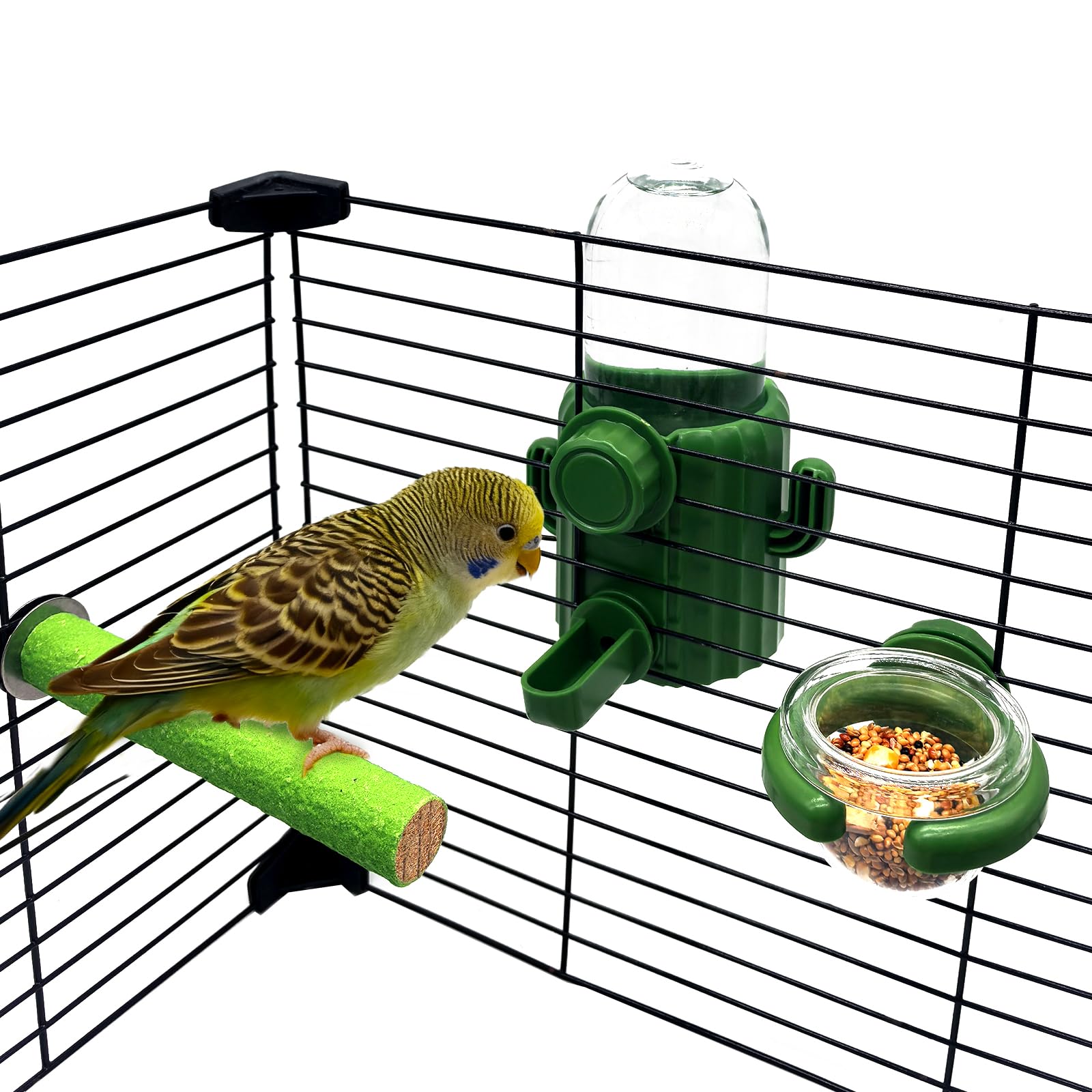 Parrot Water Feeder Bird Water Bottle Parrot Food Feeder with Perch Stand Bird Cage Accessories for Parakeet Budgie Lovebirds Cockatiel