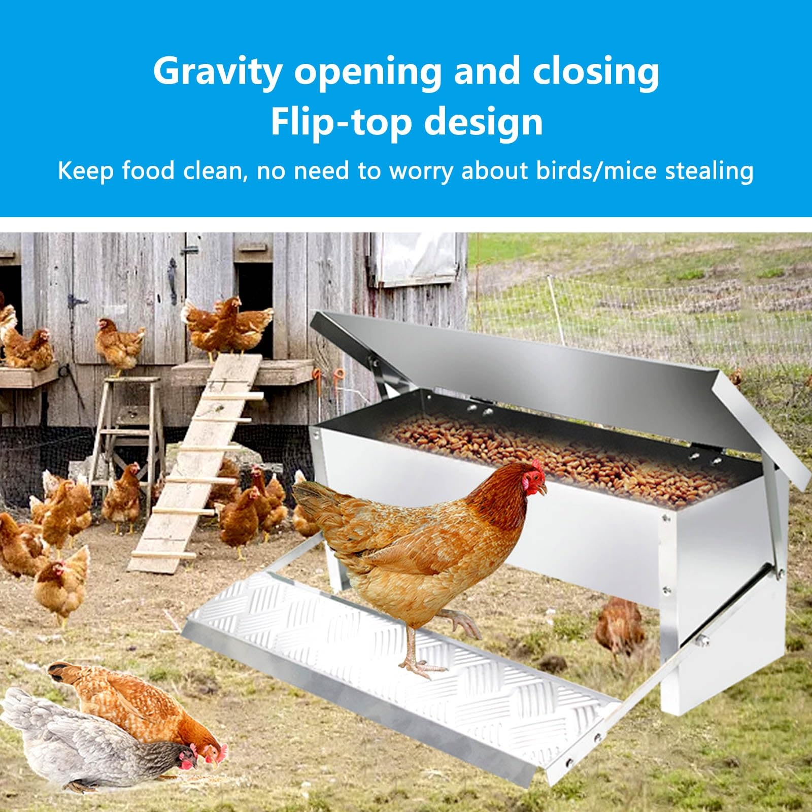 Comedero Gallinas Antipajaros Comederos AutomáTicos de Pollos Acero Inoxidable Comedero con Pedal AutomáTico Comida para Pollos para Aves de Corral Adecuado para Pollos Patos Y Gansos