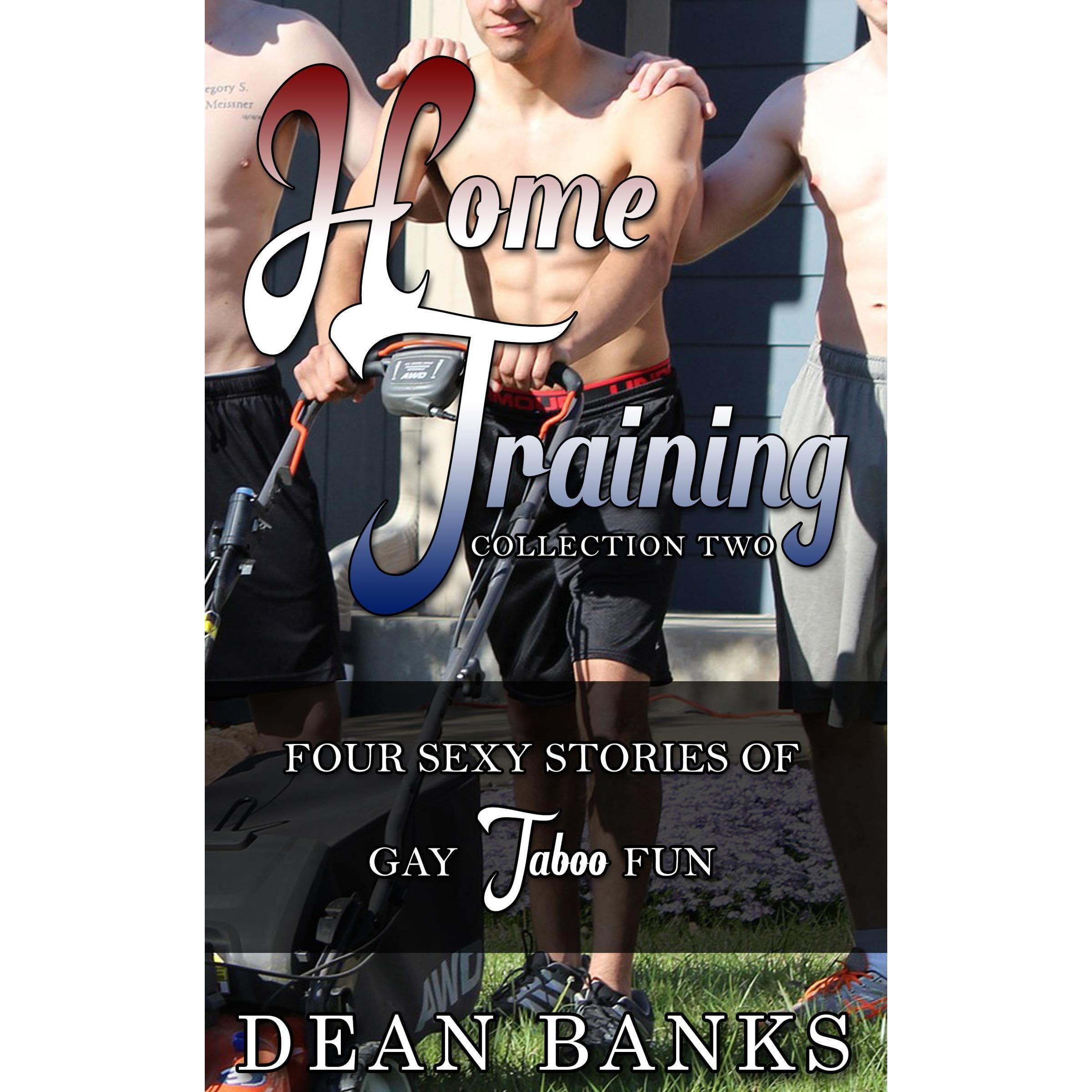 Home Training: Collection Two: Four Sexy Stories of Gay Taboo Fun