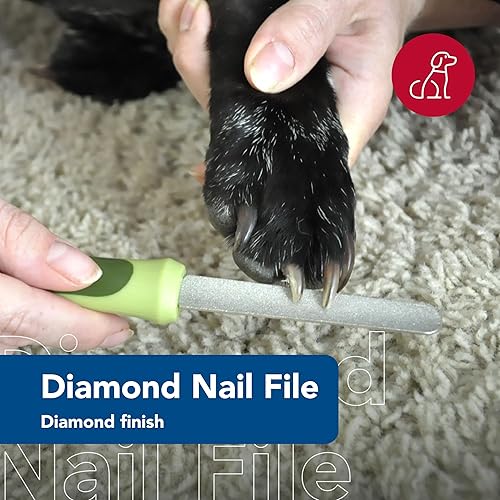 Miniatura 3 de Coastal Pet Safari - Lima de uñas de diamante para perros, acabado de diamante para uñas suaves, elimina las fresas de perros de exteriores e
