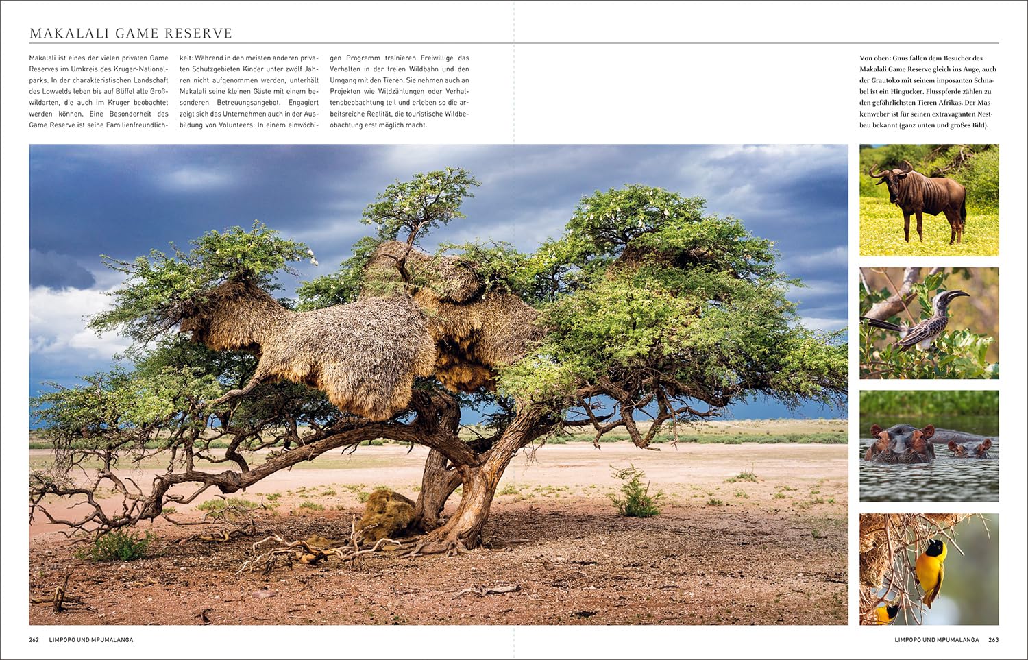 KUNTH Südafrika. Das Buch (Magnum-Ausgabe): Highlights eines faszinierenden Landes (KUNTH Das Buch)