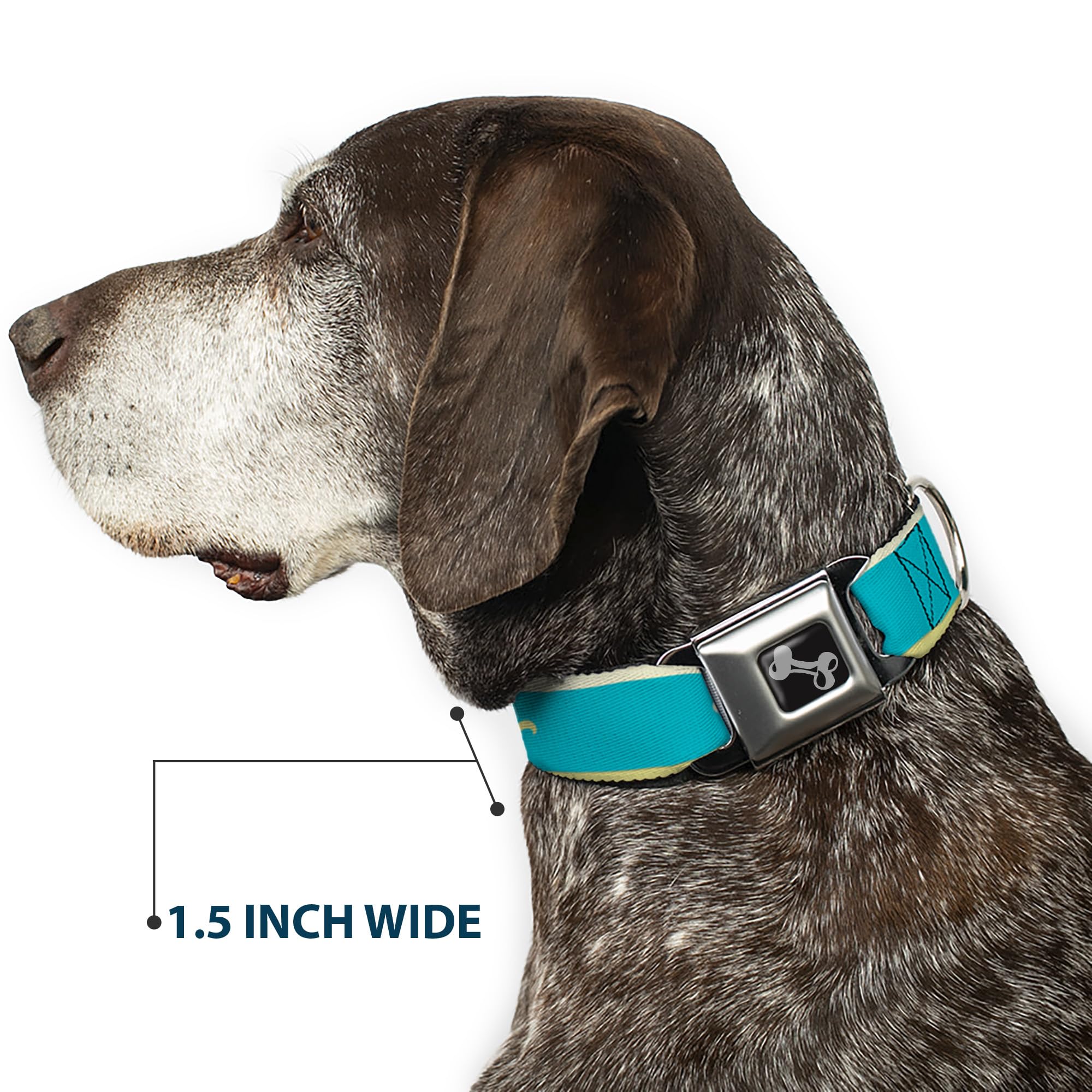 Buckle-Down DC-W30634-WS - Cinturón de Seguridad para Perro, Talla S, Color Azul, Verde Lima