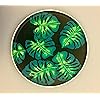 Product Photo 9