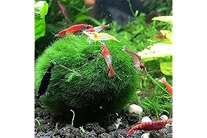 Vumdua Moss Ball: Perfect Aquatic Decor for Fish Tanks and Home Decor