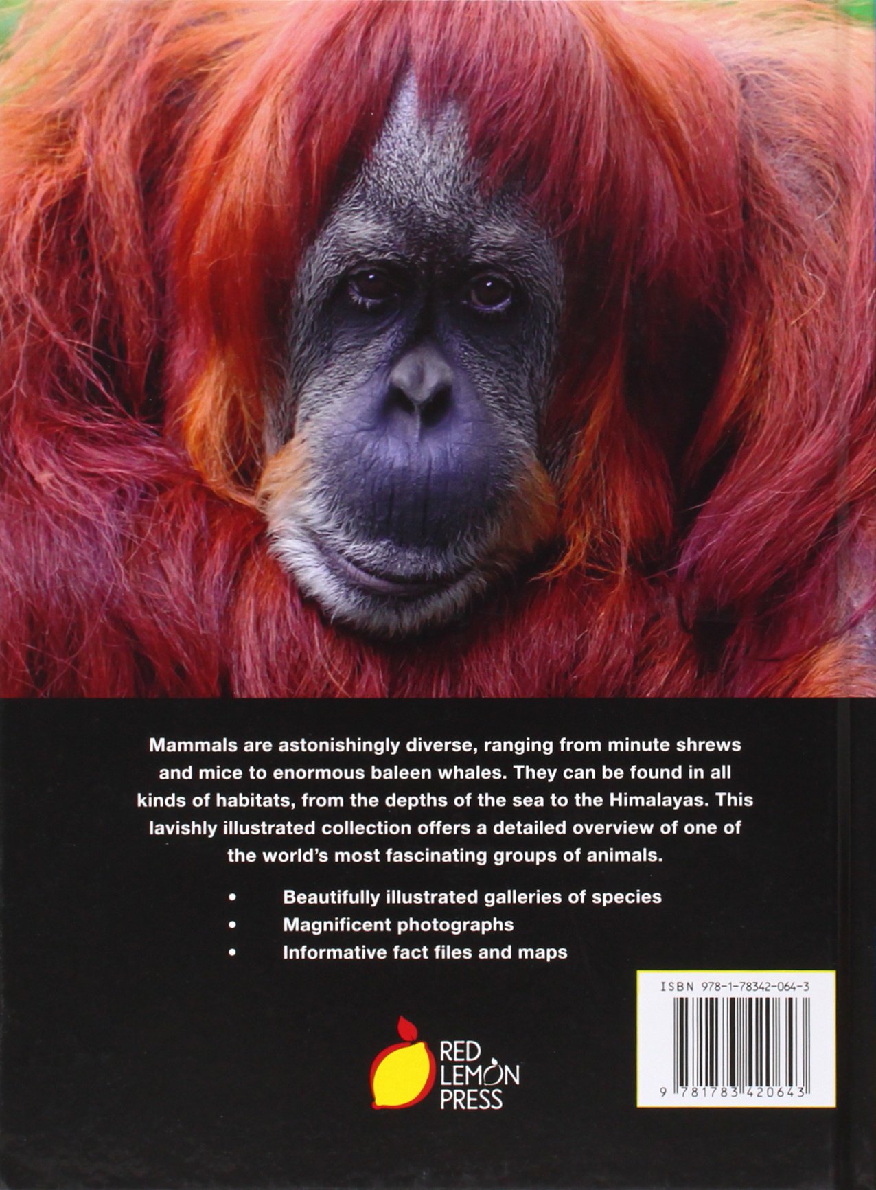 Encyclopedia of Animals - Mammals