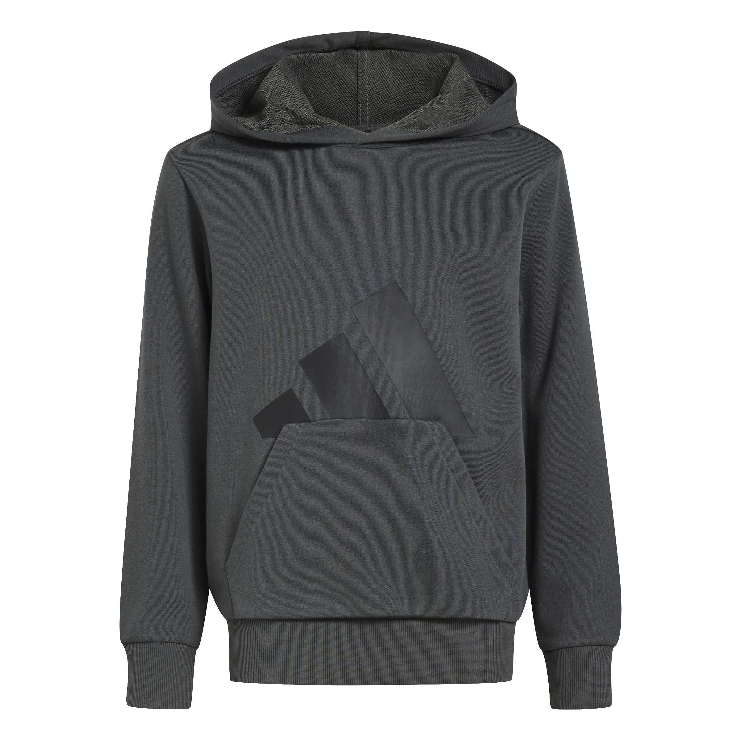 adidas Uniseks - dzieci Essentials Big Logo Hoodie Sweatshirt, grey six/black, 15-16 Years