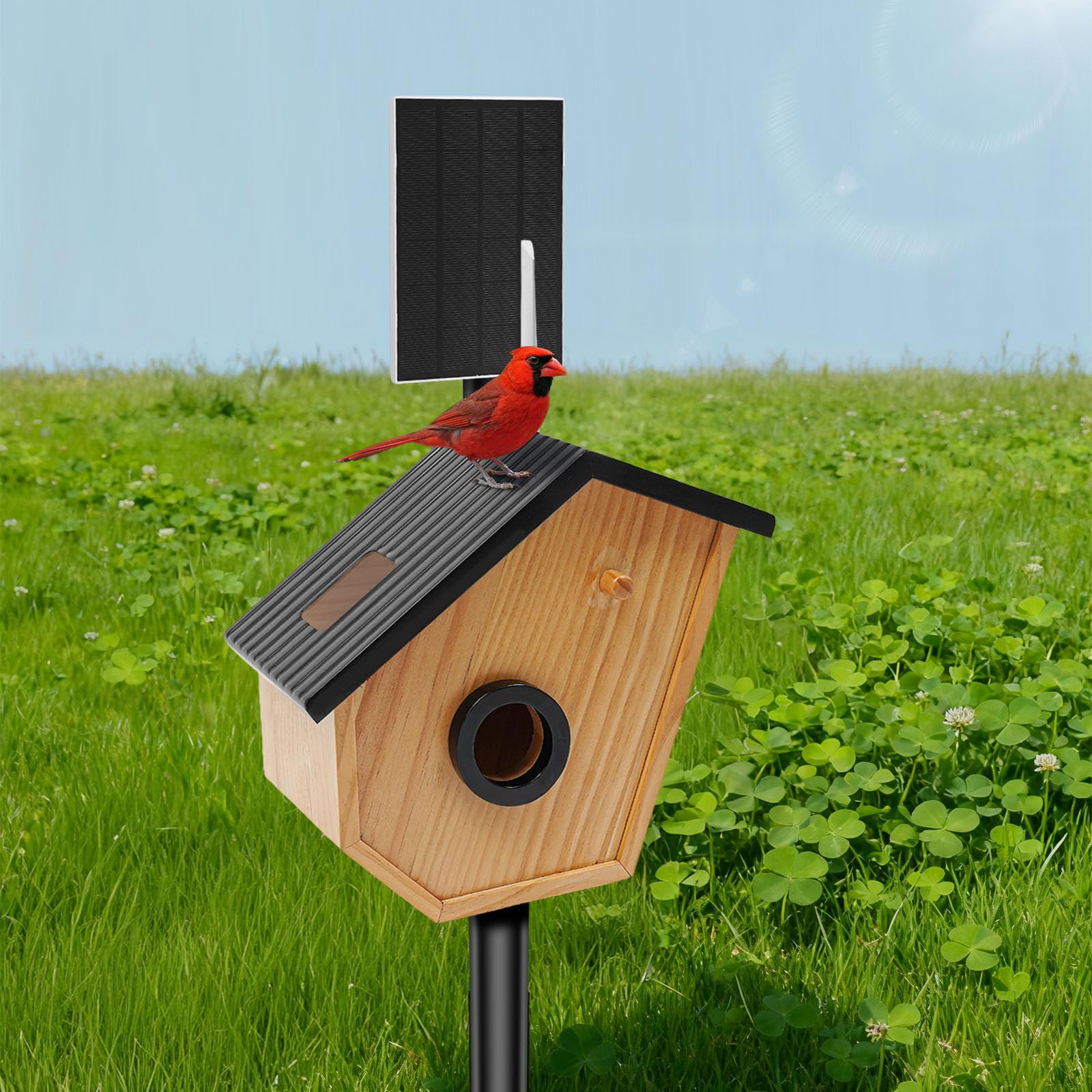 Kiefernholz Vogelhaus mit Kamera,Solarbetrieb,Bird Feeder Camera,KI-Vogelerkennung,Nachtsicht (Farbe/Infrarot),HD-Überwachung,für Volieren,Bauernhöfe,Gärten, Balkone