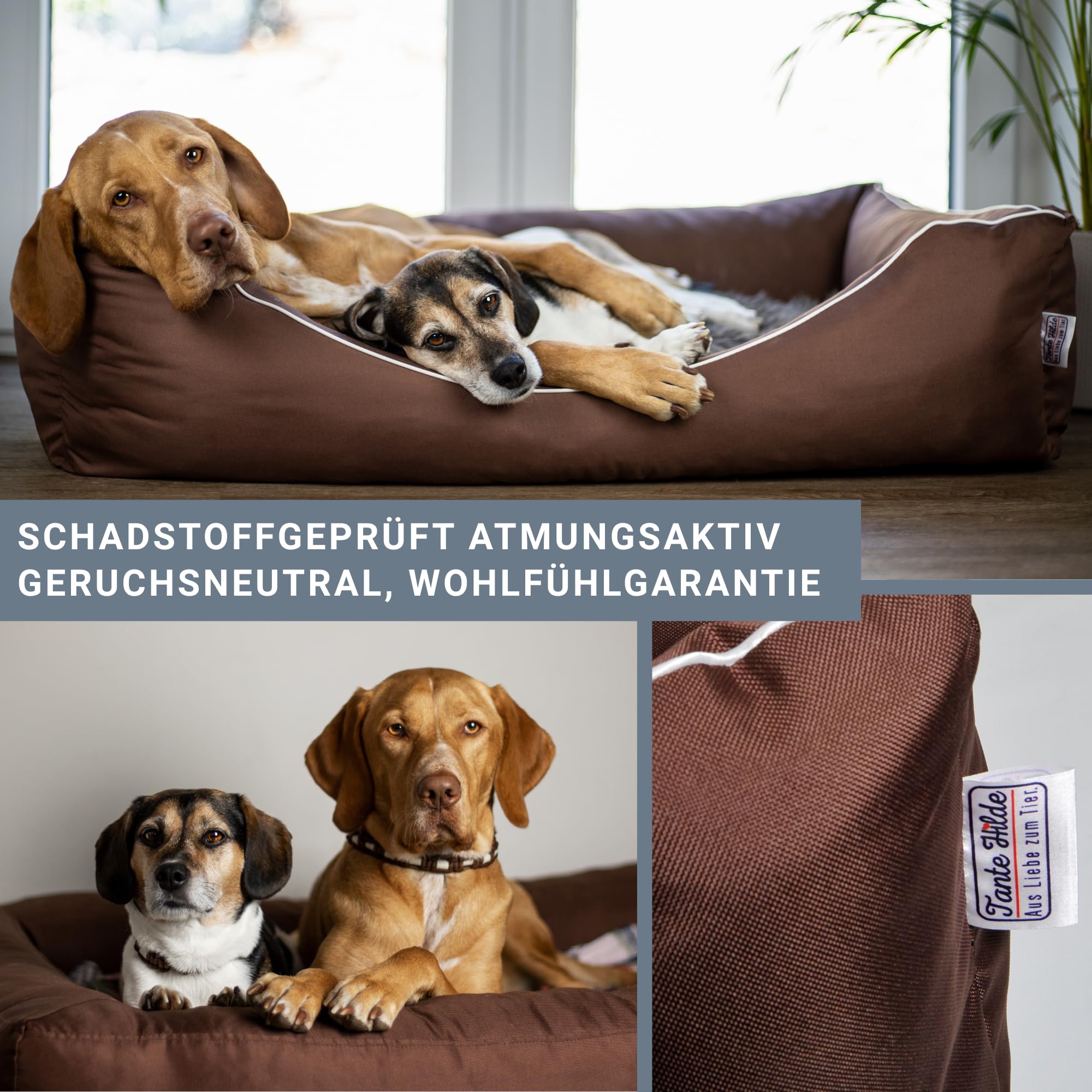 Tante Hilde Hundebett Norderney – Waschbar, Robust, Hochwertig, Größenauswahl - Hundekorb, Hundekissen (Schwarz XL 80x60 cm, Ideal für kleine Hunde)