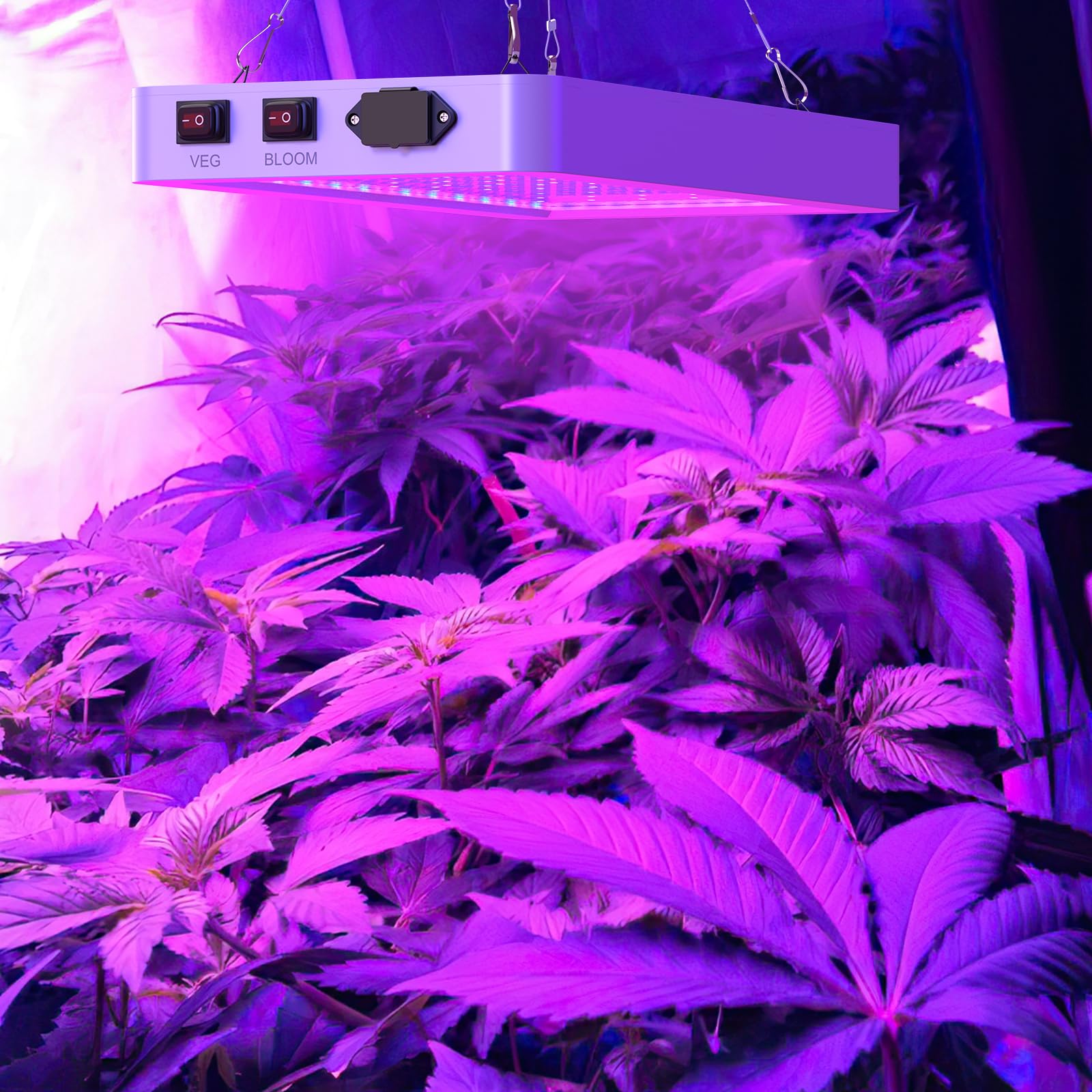 Lixada Lámpara para Plantas 80W (216 LEDs), Lámpara de Crecimiento de Plantas de Espectro Completo, Espectro Completo Impermeable, para Ipara Semillas, Flores, Invernaderos y Jardinería de Interior