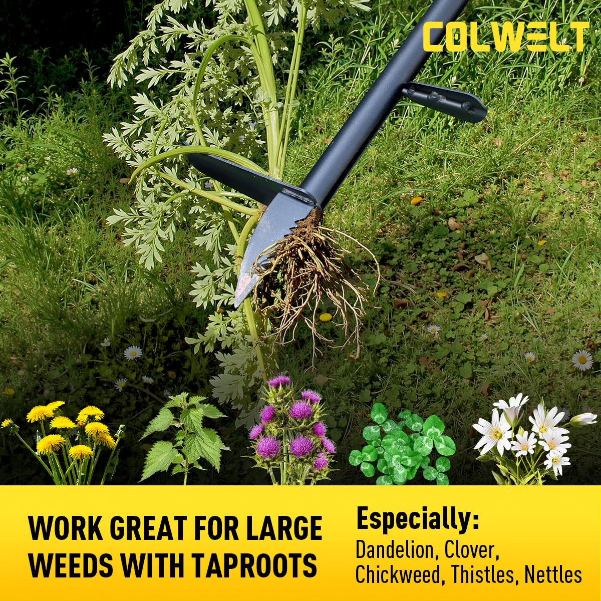 Colwelt Unkrautentferner-Werkzeug, 100 cm, Unkrautabzieher, Wurzelentferner mit dicker Stahlklaue, langstieliges Unkrautwerkzeug mit einfachem Fußauswerfer, stehender Gartenjäter Werkzeug für