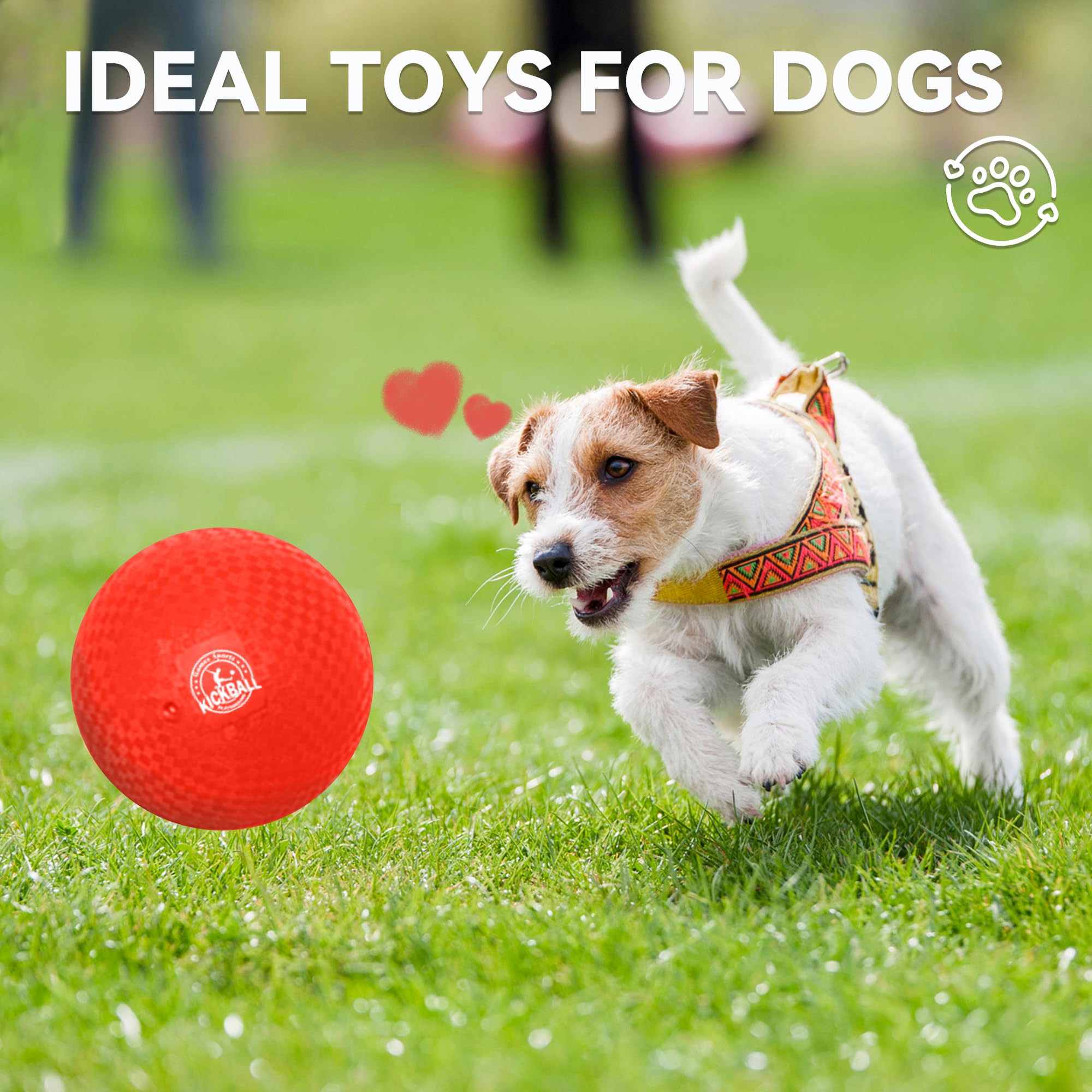 Juego de kickball de 8.5 pulgadas, paquete de 6 bolas de Dodgeballs, paquete de 12, pelotas de juegos para niños y adultos, pelotas rebotantes incluye bomba y bolsa de almacenamiento, balón para 6