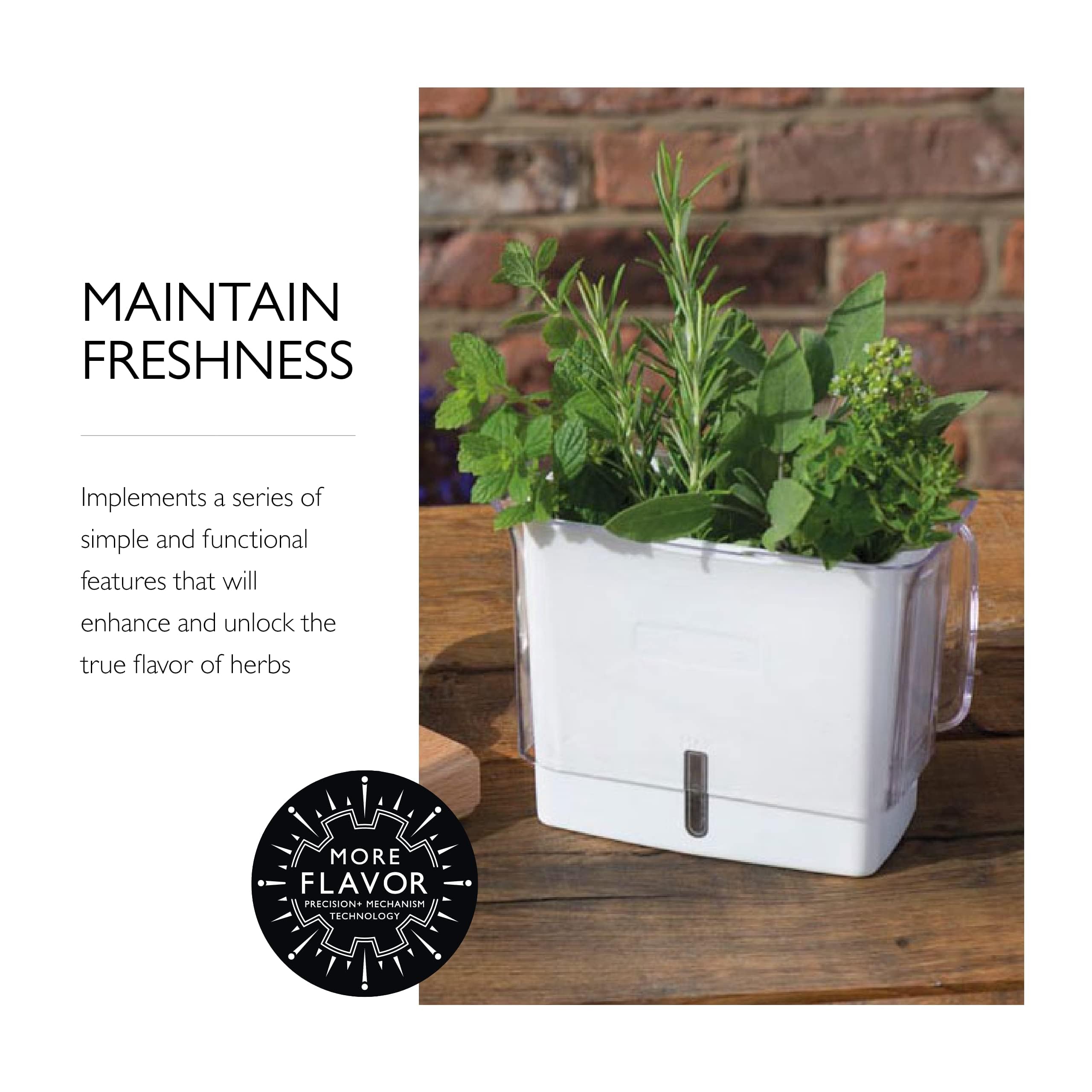 COLE & MASON Fresh Herb Keeper, Container, Clear