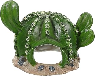 POPETPOP Enfeites De Paisagismo Para Tanques De Peixes Decoração De Plantas Terrários De Vidro Para Plantas Plantas De Répteis Camarão Esconderijo Esconderijo Para Dragão Barbudo Répteis