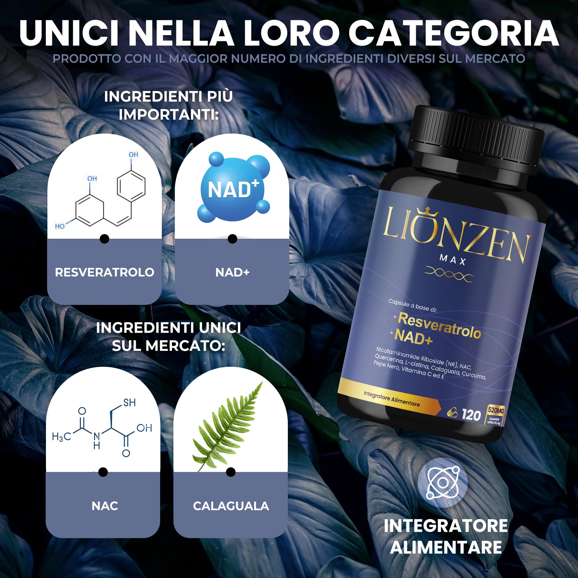 NAD+ Trans-Resveratrolo puro con 10 ingredienti anti-età | 1000 mg | Energia cellulare, longevità, vitalità | Nicotinamide Riboside, Quercetina, NAC, Curcuma, Pepe Nero | Lionzen Max