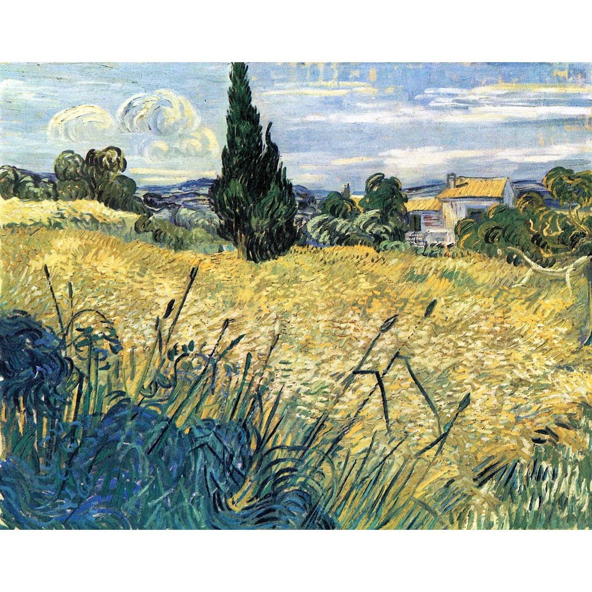 Poster Van Gogh champ de blé vert et cyprès grand format 101x127 - 2