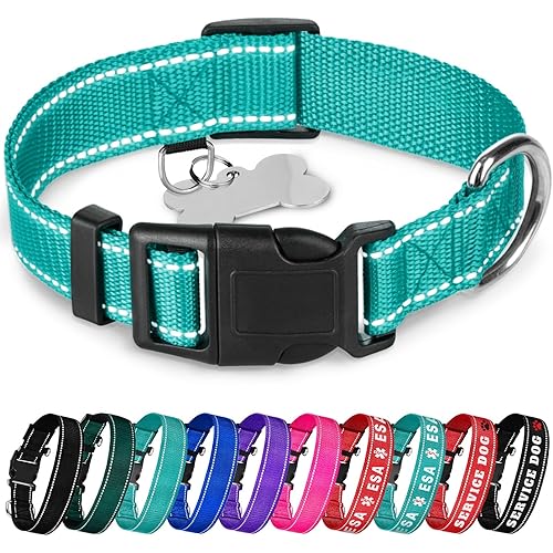 TECEUM Reflective Pet Collar – Teal – L – Basic Nylon Dog Collar – Quick Release Buckle – Fits Small, Medium and Large Dogs, Puppies, Cats – ESA & Service Dog Options