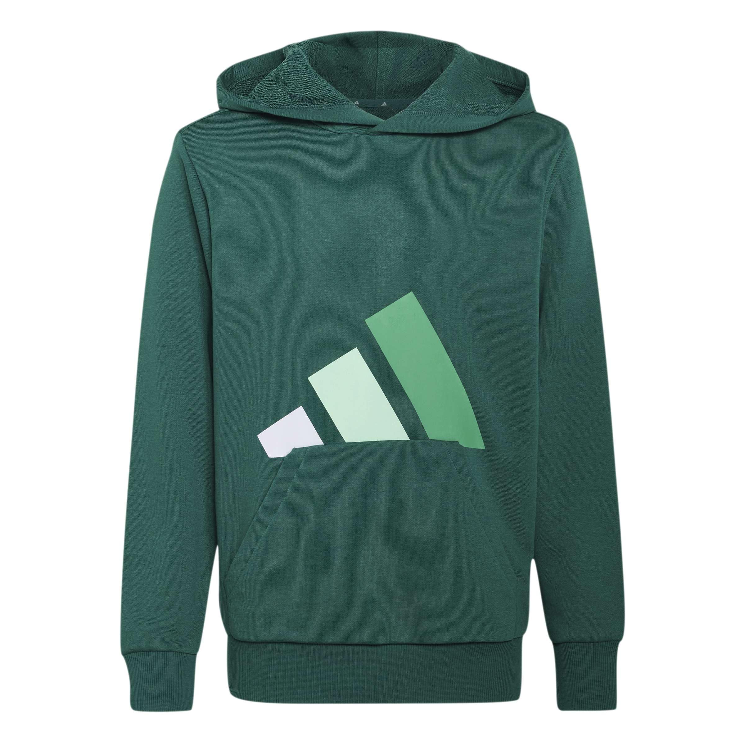 adidas Uniseks - dzieci Essentials Big Logo Hoodie Sweatshirt, collegiate green/white/clear mint/court green, 15-16 Years