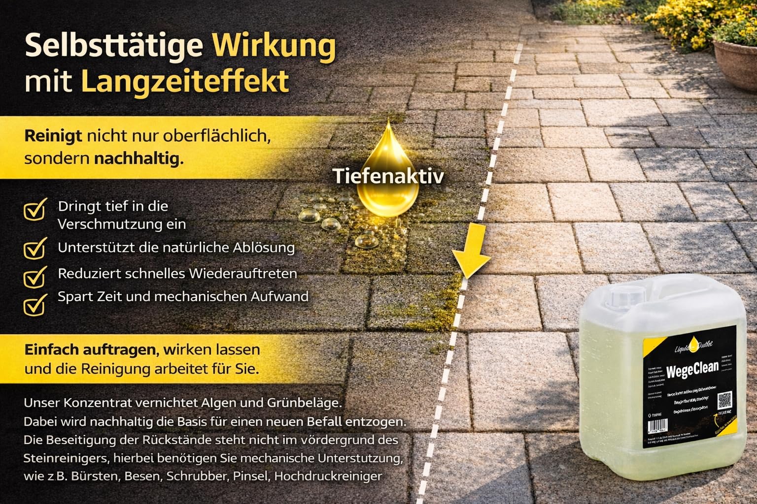 Liquid Outlet Wege Clean Steinreiniger 2x 10L – Biologischer Grünbelagentferner für Pflastersteine, Kies & Beton – Steinreiniger intensiv außen, Flechtenentferner, Terassenreiniger Außenbereich