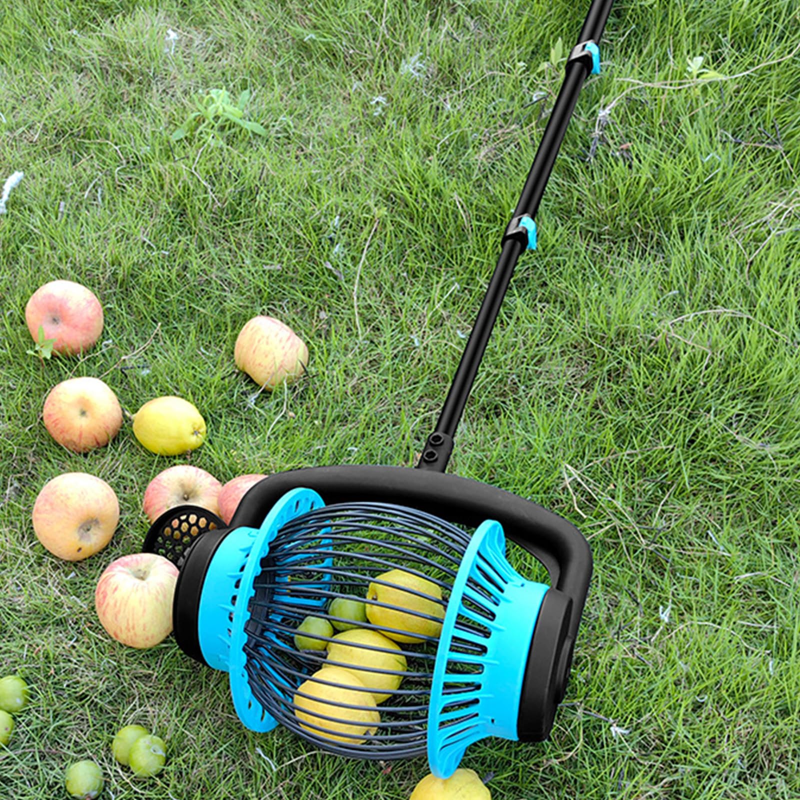Herramienta telescópica recolectora de frutas a prueba de óxido con cesta de red expandible para nueces, pelotas de golf y cosecha en el patio, recolector de nueces ligero resistente a la corrosión