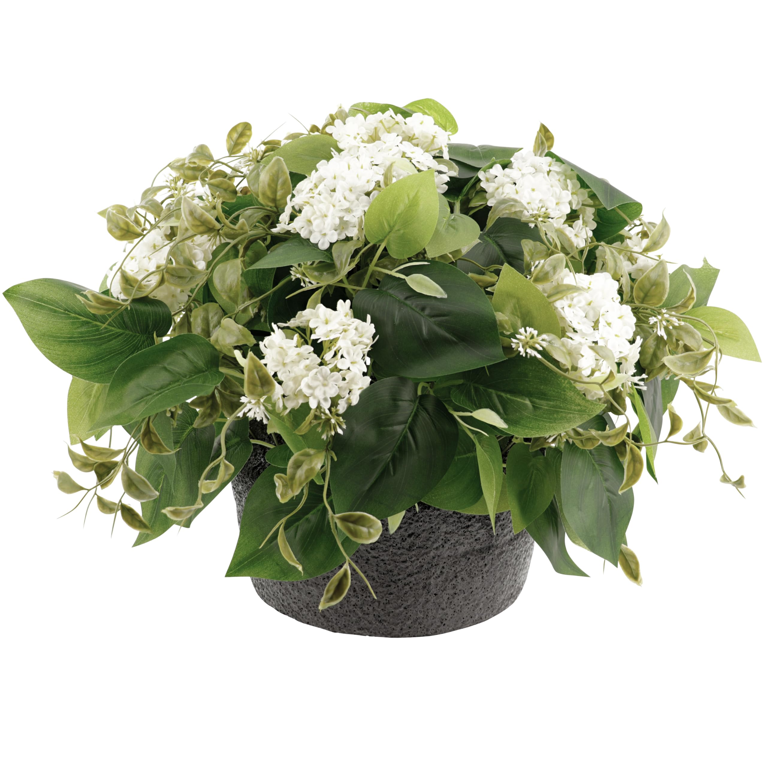product_img5