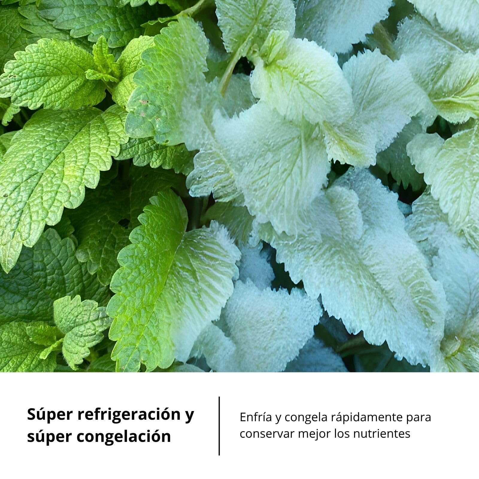 Corbero - Frigorífico Combi | CCGLML201725NFN | No Frost | Inverter | 356L | 200cm | Display Puerta | Fresh Box | Cajón Crisper | Estantes cristal | Cristal Negro