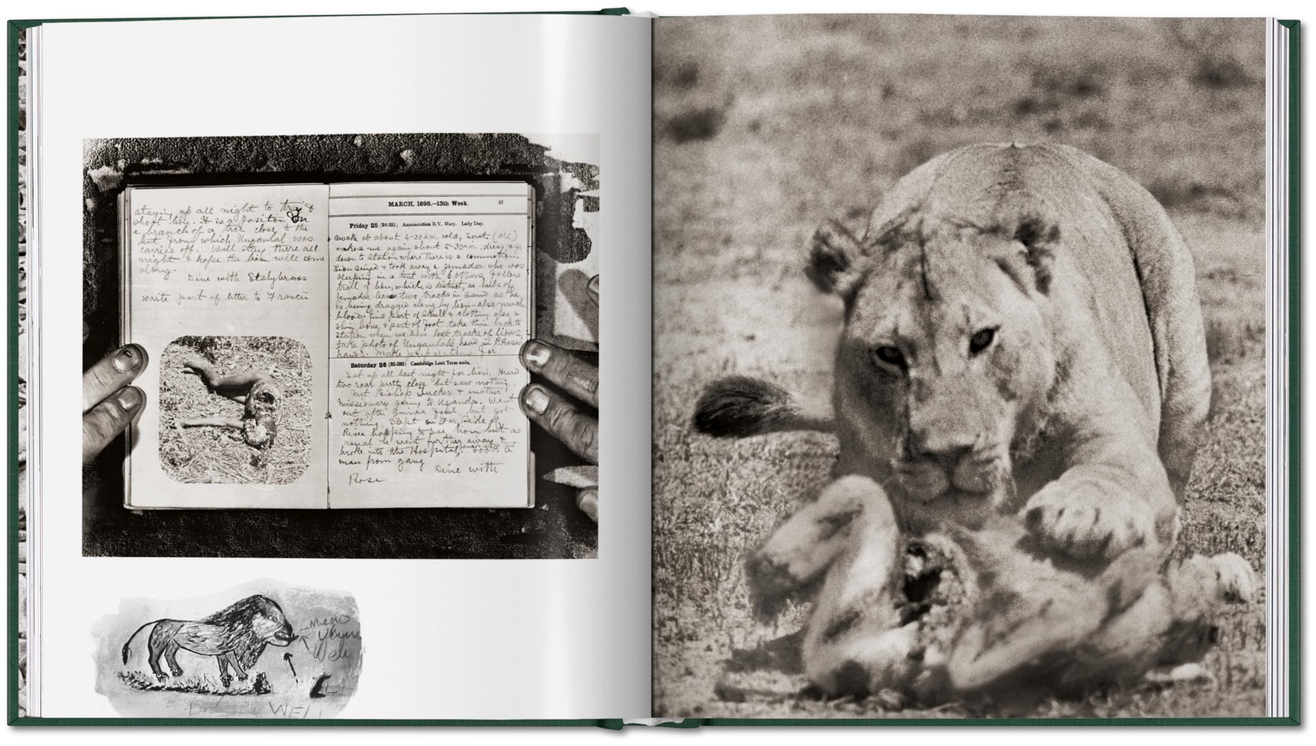 Peter Beard: The End of the Game