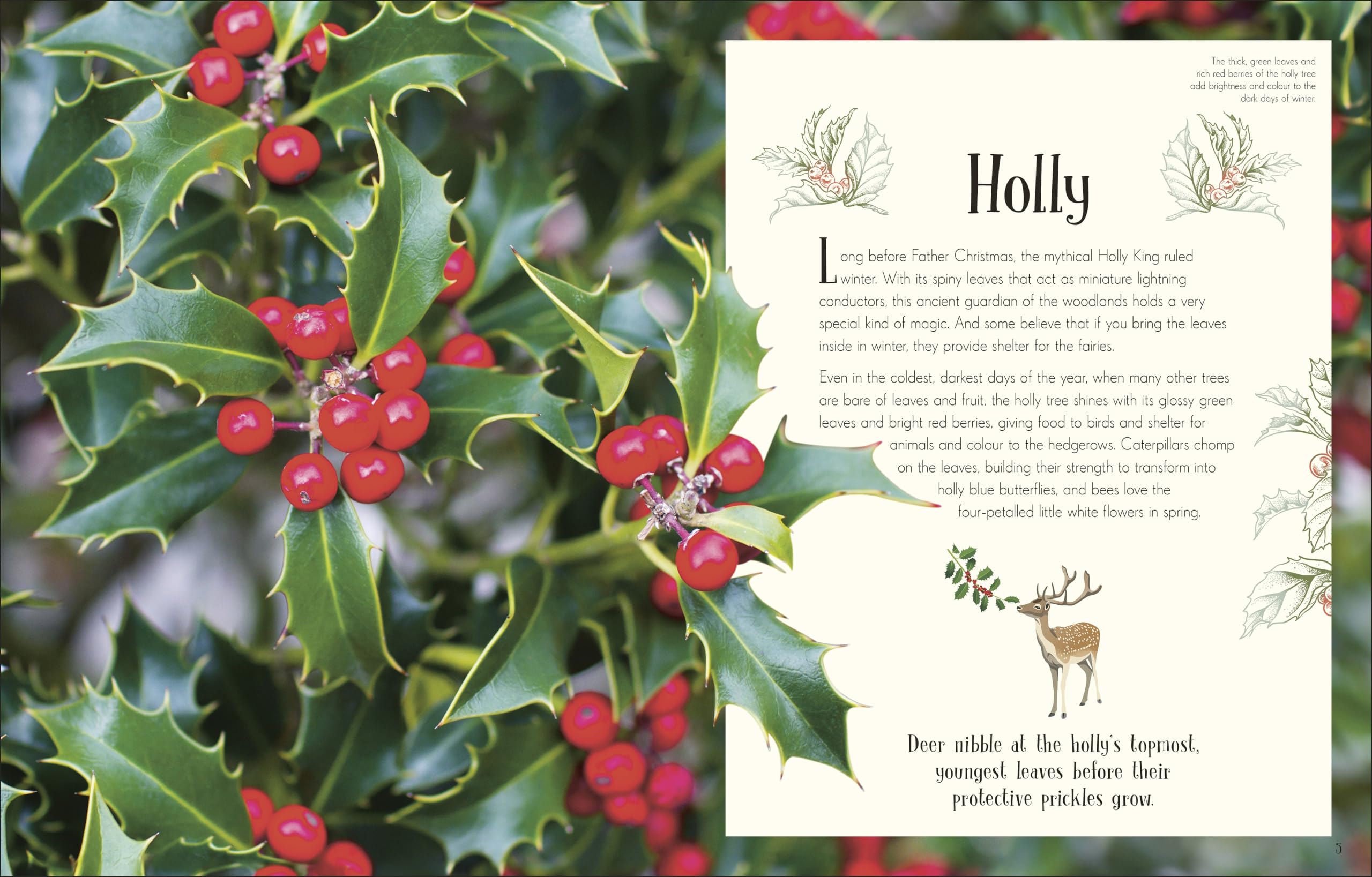 An Anthology of Christmas: Discover the Magical Stories of the Festive Season (DK Children's Anthologies)