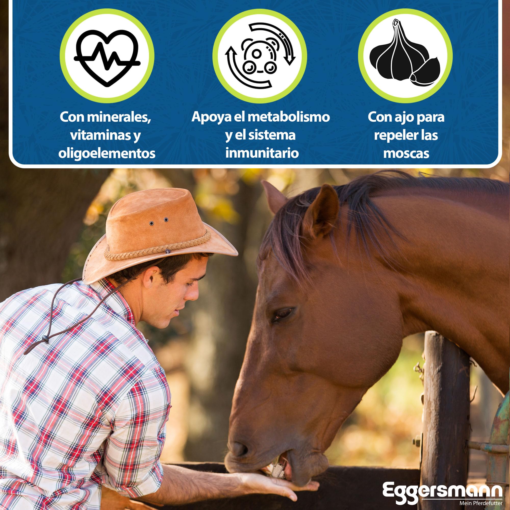 Eggersmann Mein Pferdefutter Mineral Bricks 4 kg - Alimento Mineral para Caballos - Comida para Caballos con minerales y vitaminas para apoyar el metabolismo - con ajo añadido para repeler Moscas