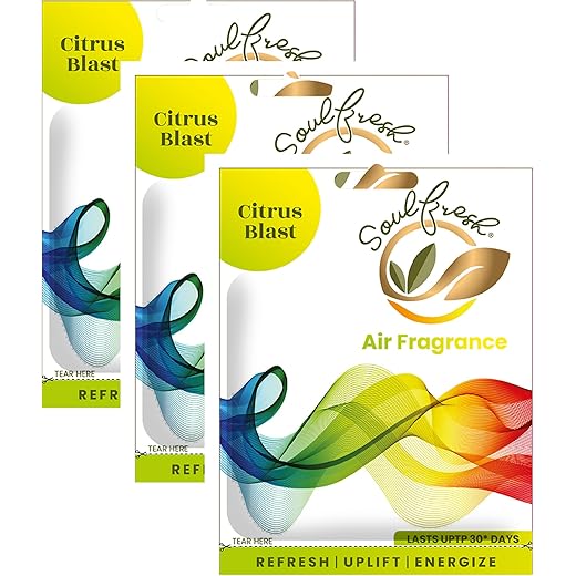 SOULFRESH Air Pocket Citrus Blast Air Freshener Pack of 3