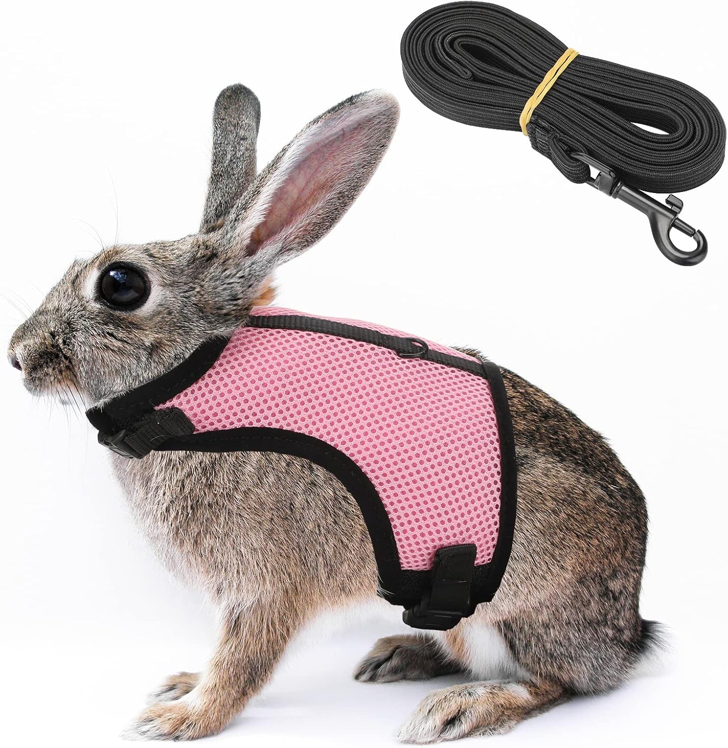 JuWow Bunny Rabbit Harness and Leash, Harness Adjustable Buckle Breathable Mesh Vest for Bunny Rabbits Walking Runnig Hiking Camping…