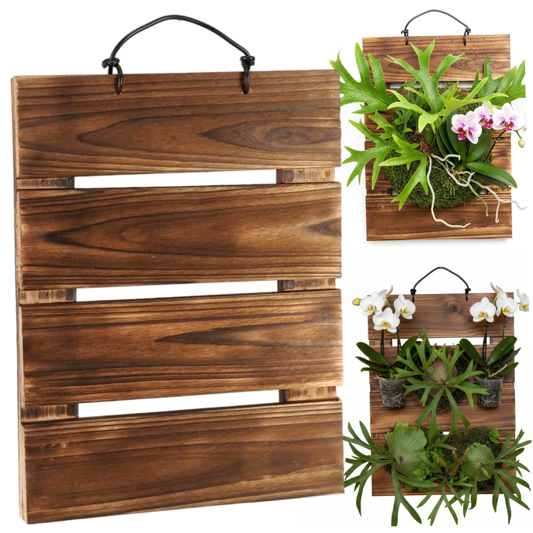 CAKEEYUM Fern Mount Rectangular Wall Plant Holder 13x9 Wall Mount Planter Kit for Ferns Orchids Air Plants Fern, Plant Holder, Planter, Mounting Kit