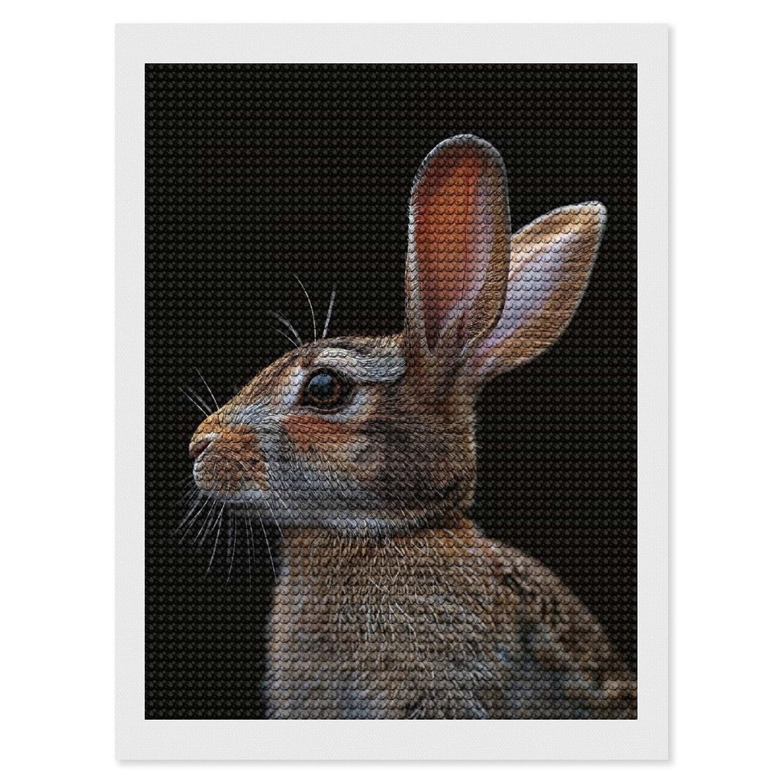 Junmoney Rabbit Diamond Painting Set 12"x16", Sparkling Round Gems, Decorate Your Room, Fun Craft Experience, Modern Decor
