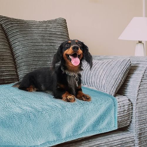 Miniatura 5 de Mantas impermeables para perros medianos, manta de gato mediano lavable para protección del sofá, manta de forro polar sherpa suave, azul, M