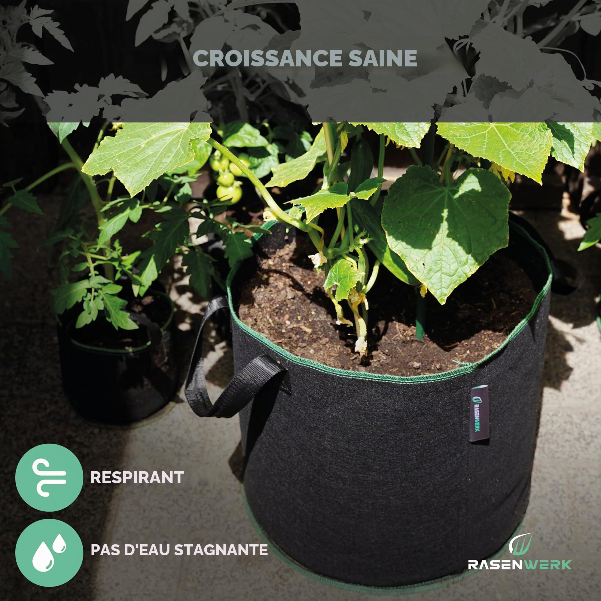 Sac à Plantes 40 Litres en Non-tissé pour Jardin, Serre & Balcon - pour Fleurs, Tomates et Plantes - Alternative Idéale au Pot de Fleurs - 5 Pièces
