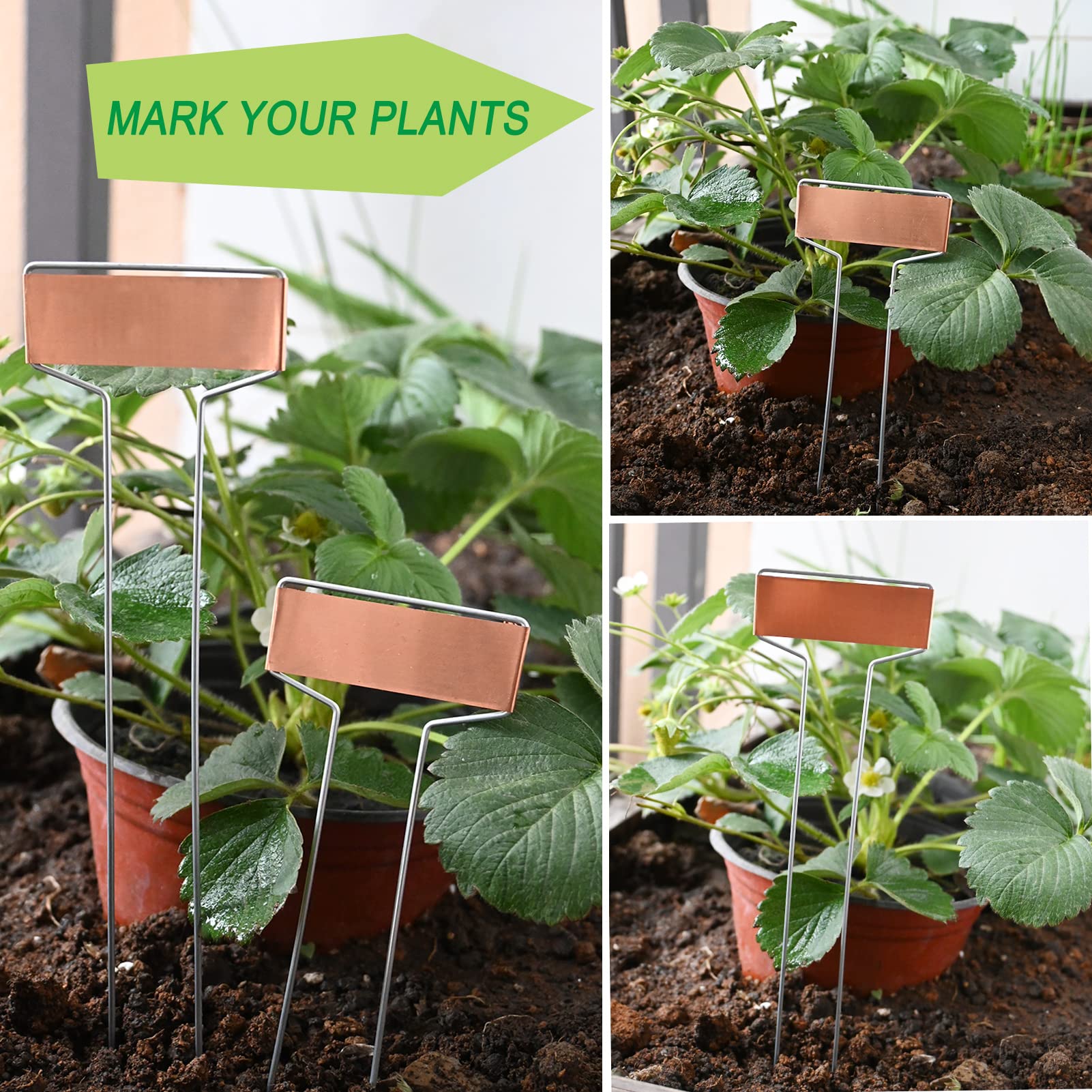 Confezione da 30 etichette in rame per piante, in metallo, 25,4 cm e 15,2 cm, riutilizzabili, per piantine, erbe, fiori, verdure, alberi e regali per giardinaggio