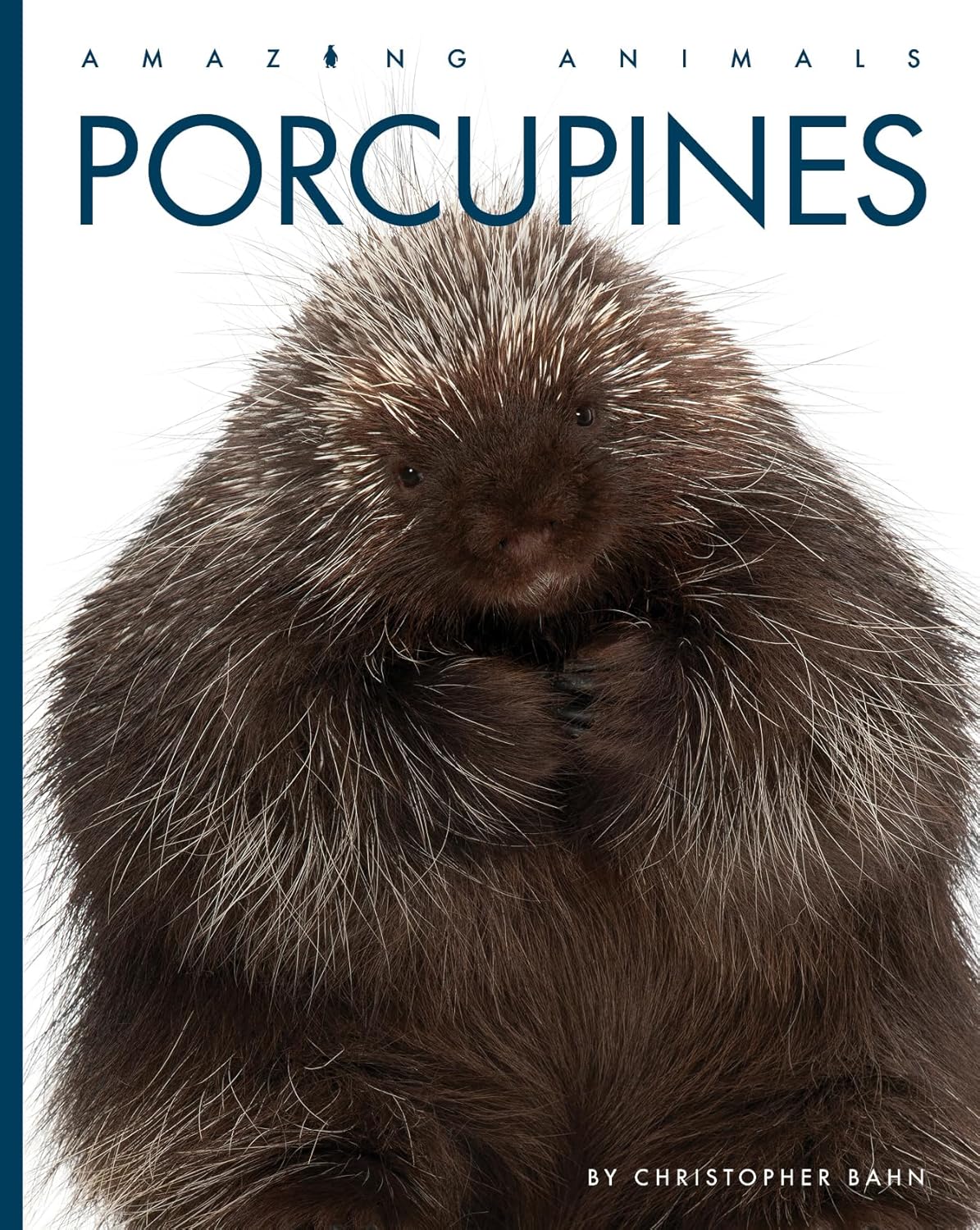 Porcupines      Paperback – January 14, 2025