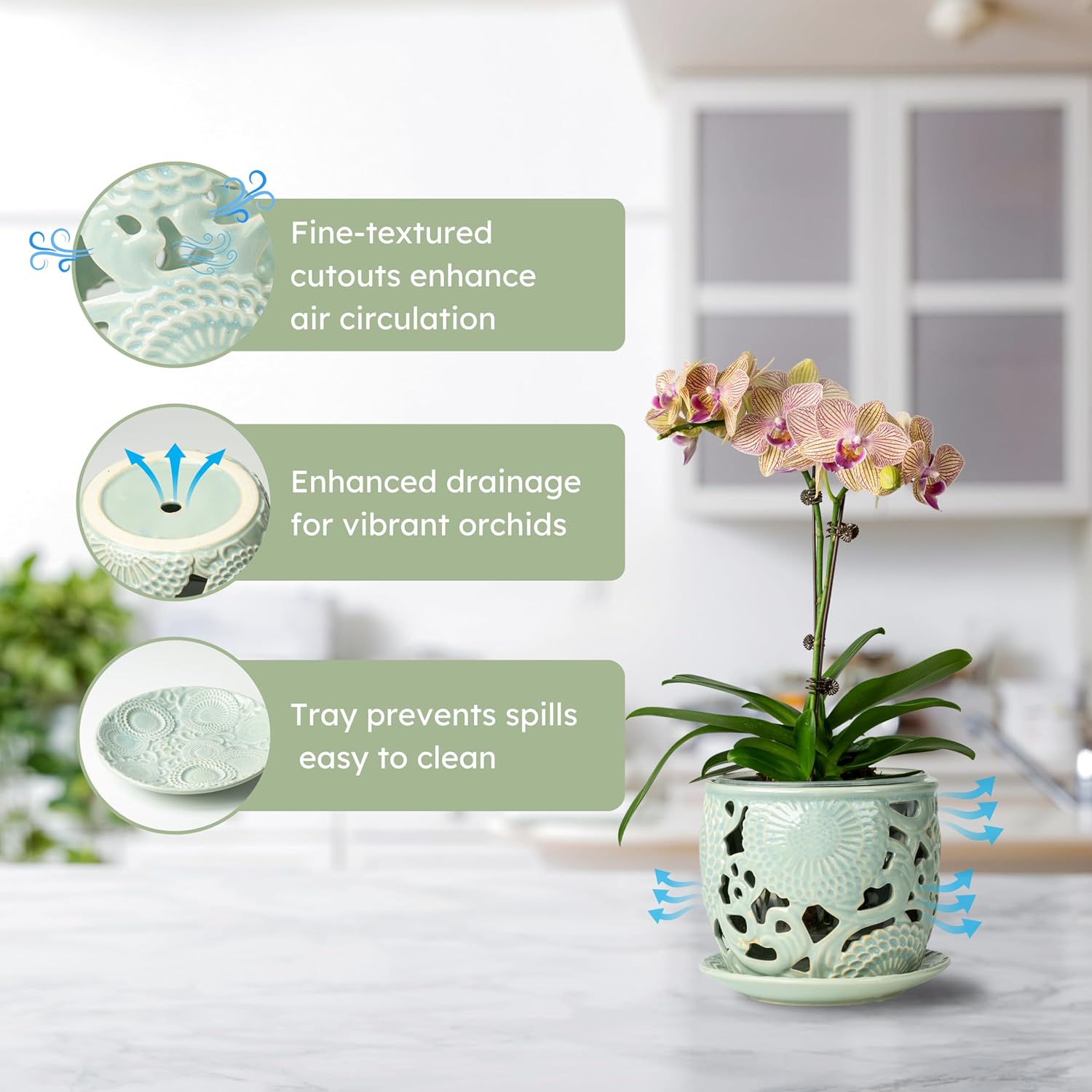 HERDUK Ceramic Orchid Pot, Orchid Pots with Drainage Holes & Saucer 6.5 Inch,Orchid Pot for Repotting Indoor, Orchid Containers with Precise Aeration & Drainage Sky Blue