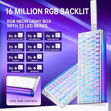 x AULA HERO 68 HE 60% Gaming Keyboard Wired, Hall Effect Mechanical Keyboard Mini with Adjustable Actuation, Rapid Trigger Mode, 8K Hz Polling Rate,0.125ms Latency,Side Printed PBT Keycaps,RGB Backlit