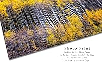 Vista 2 de Forest Photography Print (Not Framed) Picture of Aspen Trees Appearing as Reflection on Side of Mountain on Autumn Day at Maroon Bells Colorado