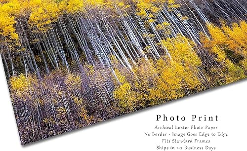 Miniatura 2 de Forest Photography Print (Not Framed) Picture of Aspen Trees Appearing as Reflection on Side of Mountain on Autumn Day at Maroon Bells Colorado