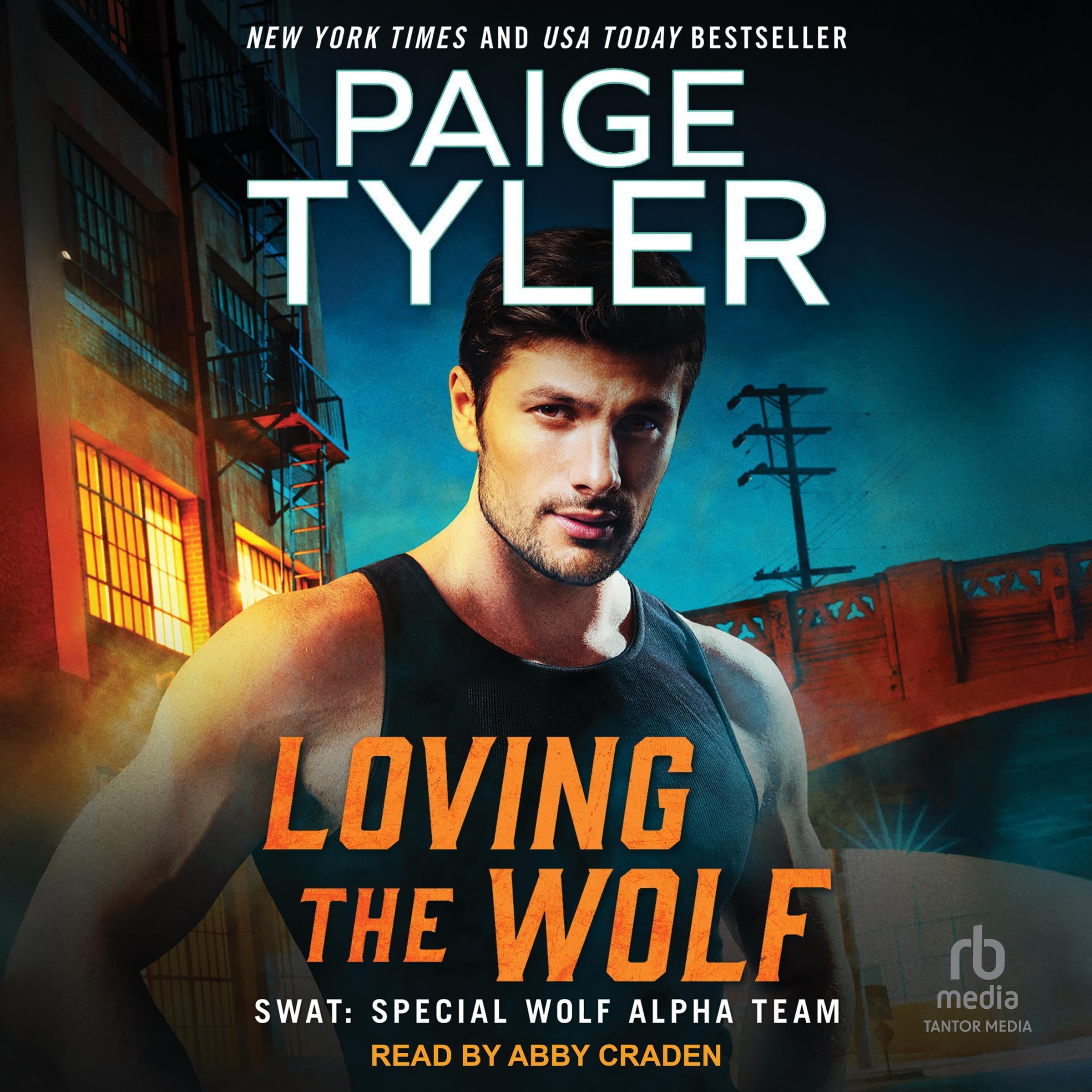 Cover art for Loving the Wolf