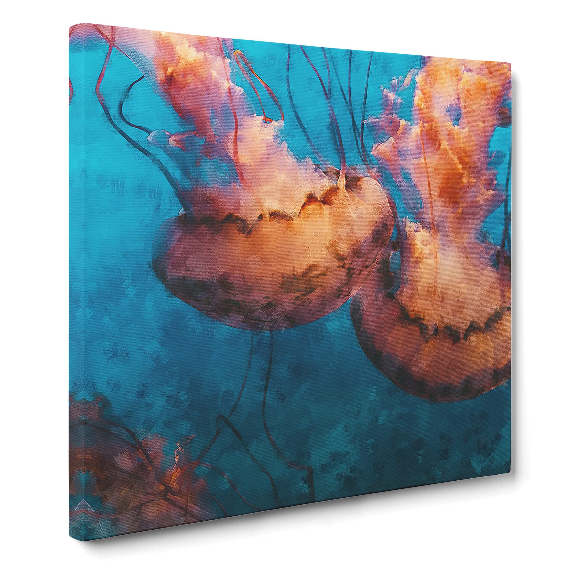 Pink Jellyfish Canvas Print, Mixed, 35L x 35W cm