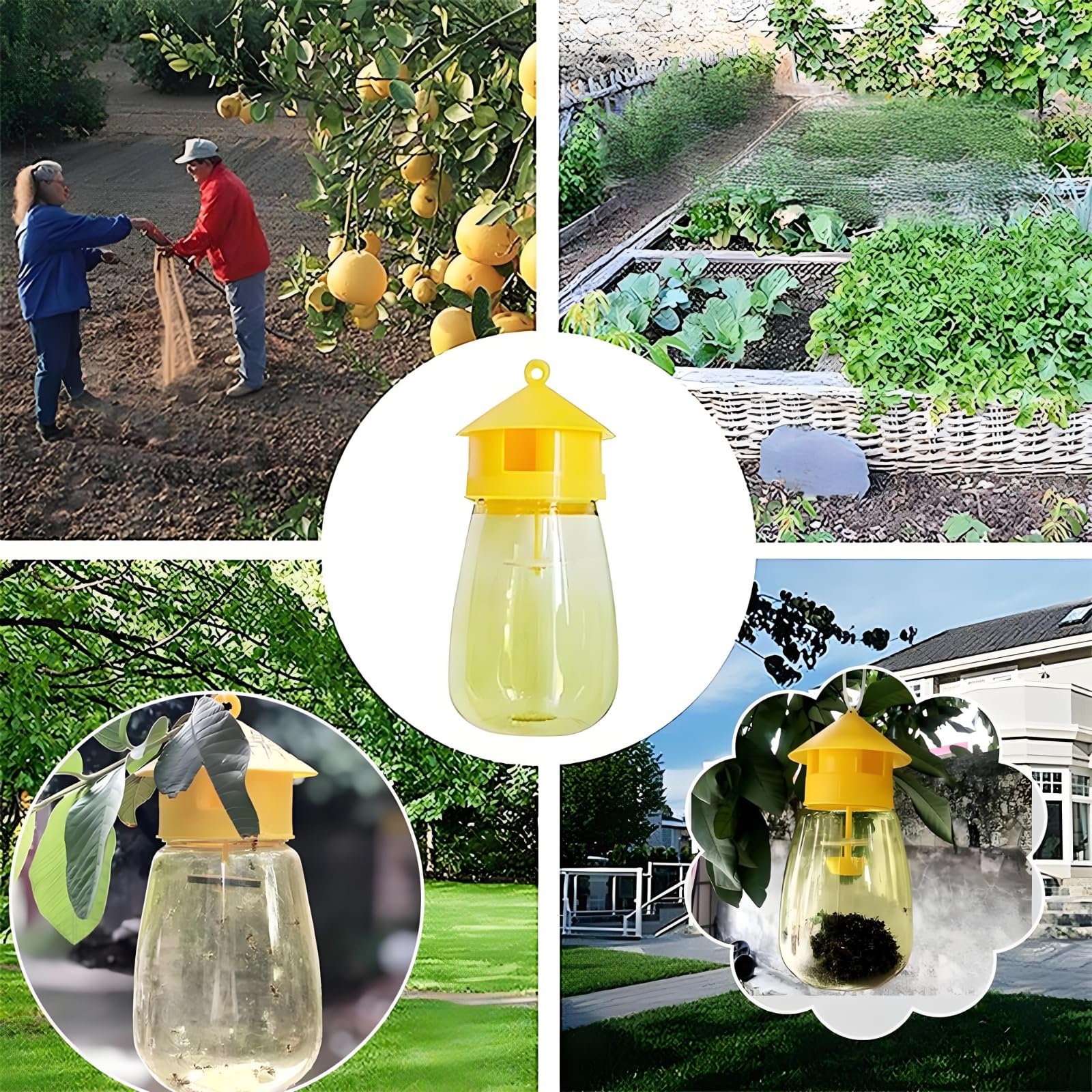 Fruchtfliegenfallen Indoor Outdoor, Ungiftige Schädlingsbekämpfung für Küche & Obstgarten, Einfache Einrichtung mit Essig & Köder (2 Fallen)