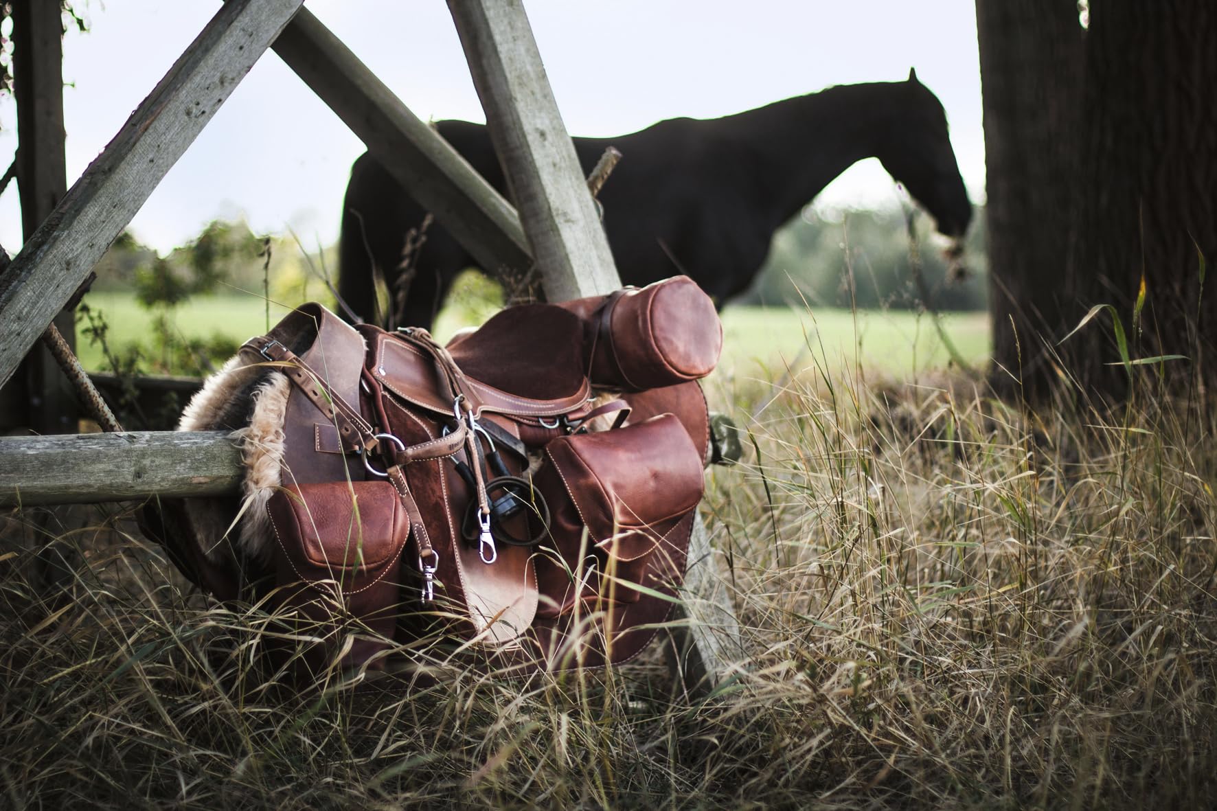 Equestrian: The Ultimate Book