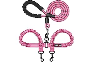 tobedri 2 in 1 Dog Leashes: Ultimate Comfort and Safety for Your Paw Pals