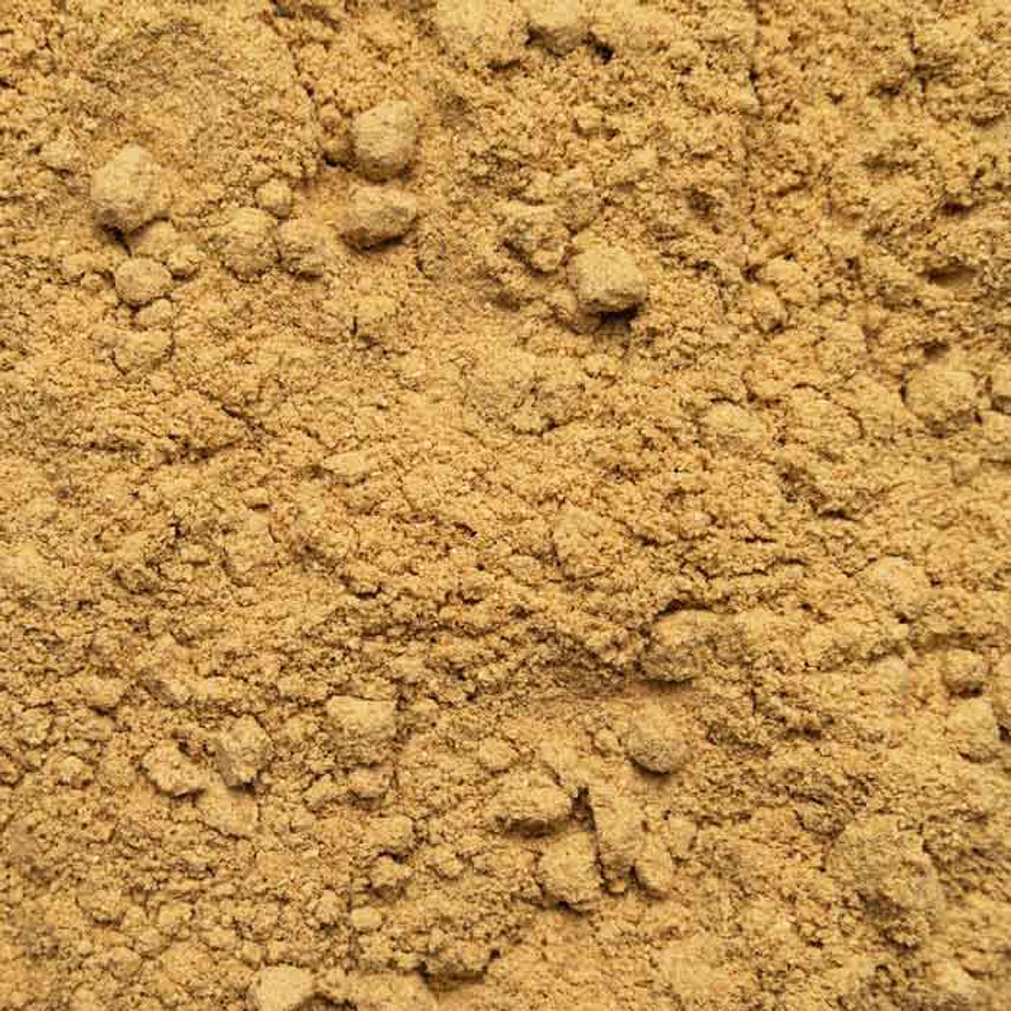 Zenzero in polvere Bio 1kg (4x250g) | radice di zenzero macinata | p.es. per tè allo zenzero o acqua allo zenzero | confezionato e imbottigliato in Germania | Biotiva