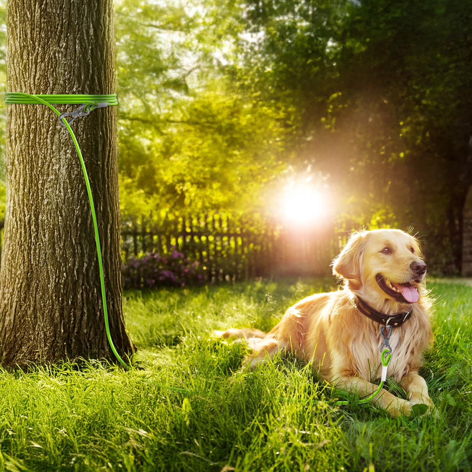 Tresbro Cavo riflettente per cani fino a 113,4 kg, cavo in filo di acciaio con fibbia a doppia fissaggio in acciaio, leggero e resistente, catena per cani per esterni, cortile, campeggio, verde