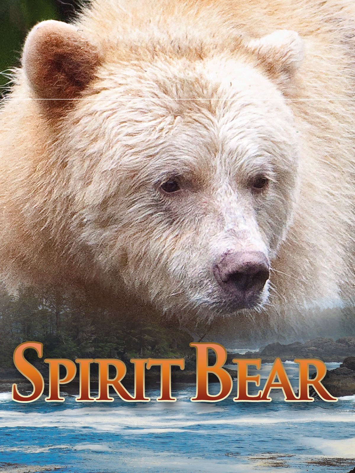 Spirit Bear