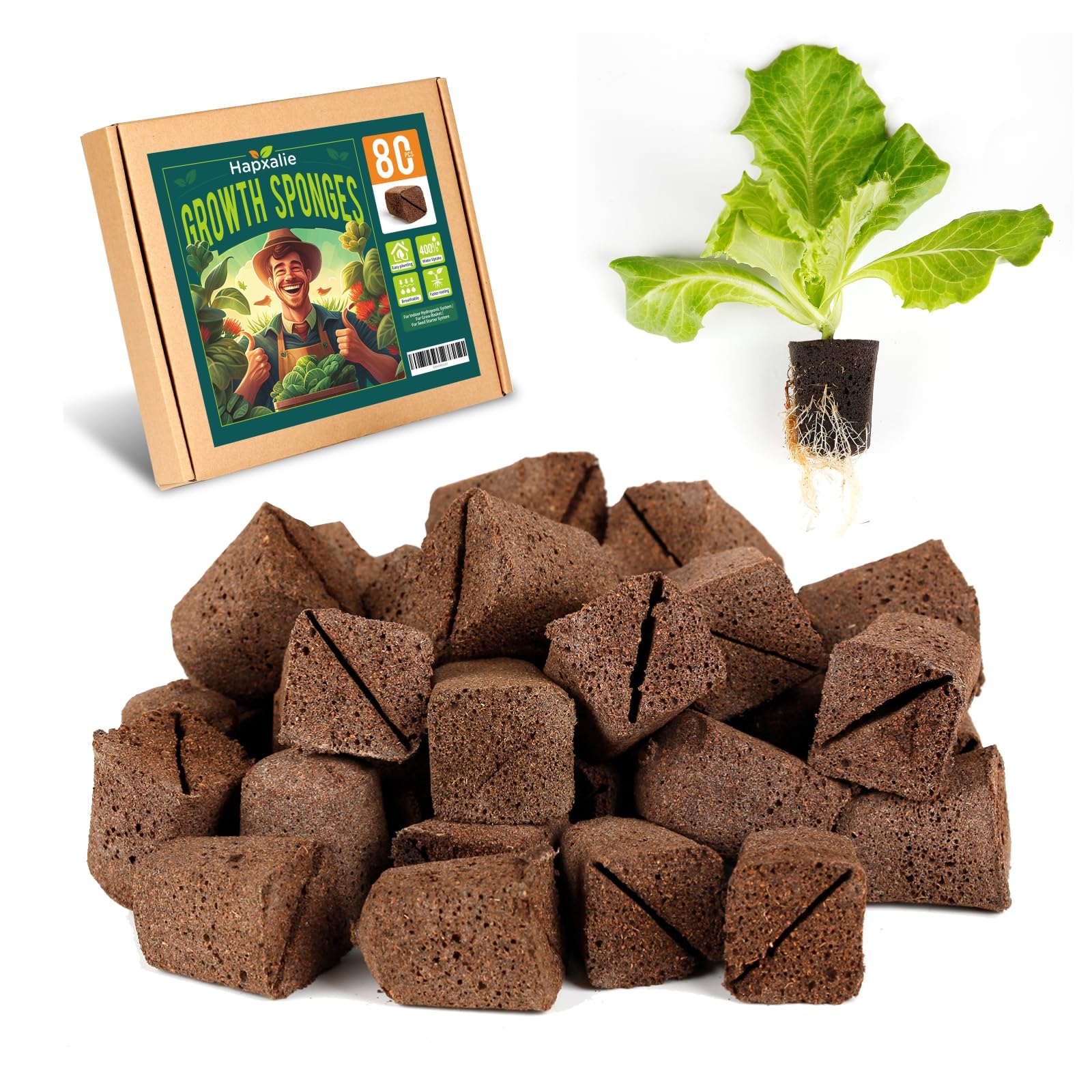 Root Riot, Eco-Friendly Biodegradable Material, Seed Starter Pod, Starter Plugs, 80-Pack, Peat Coconut Coir, Fits Standard Clone Trays, Indoor Outdoor Gardening, Brown