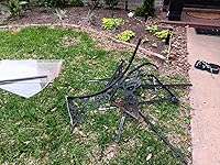 Review Image by BASSEL K. CHARAF BASSEL K. CHARAF